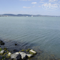 фото из отзыва ID 733365