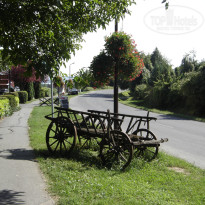 фото из отзыва ID 733365