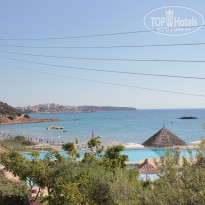 фото из отзыва ID 733512