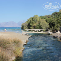 фото из отзыва ID 733512