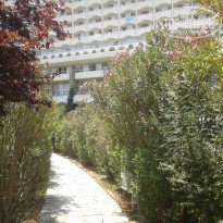 фото из отзыва ID 733892