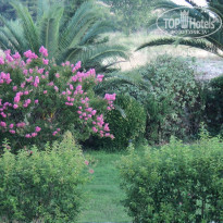 фото из отзыва ID 733892