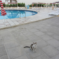 фото из отзыва ID 733942