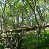 фото из отзыва ID 733699