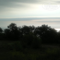 фото из отзыва ID 733699