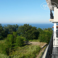 фото из отзыва ID 733699