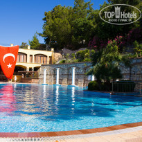 фото из отзыва ID 734095