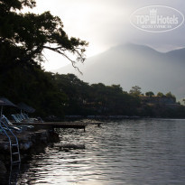 фото из отзыва ID 734095