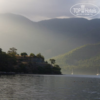 фото из отзыва ID 734095