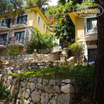 фото из отзыва ID 734095