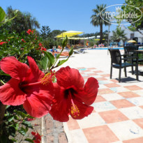 фото из отзыва ID 734441