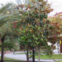 фото из отзыва ID 73422