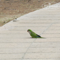 фото из отзыва ID 734079