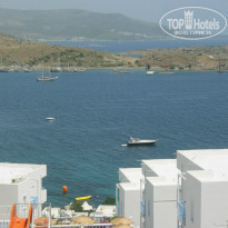 фото из отзыва ID 734239