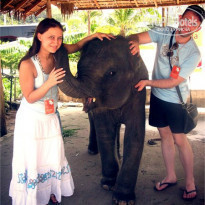 фото из отзыва ID 734555