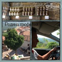 фото из отзыва ID 734758