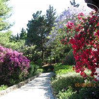 фото из отзыва ID 734980