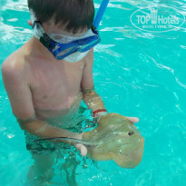 фото из отзыва ID 734183