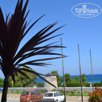 фото из отзыва ID 735739