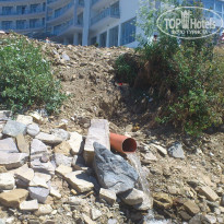 фото из отзыва ID 735014