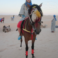 фото из отзыва ID 735089