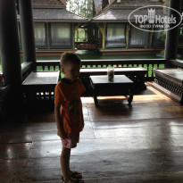 фото из отзыва ID 735312