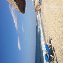 фото из отзыва ID 735677