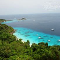 фото из отзыва ID 735713