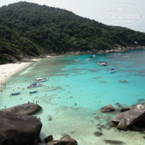 фото из отзыва ID 735713