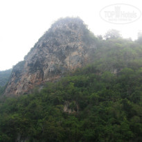 фото из отзыва ID 735713