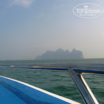 фото из отзыва ID 735713