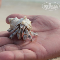 фото из отзыва ID 735990