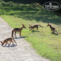 фото из отзыва ID 735023