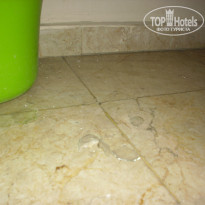 фото из отзыва ID 736282