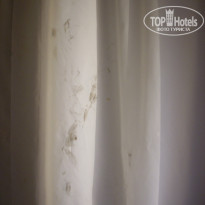 фото из отзыва ID 736282