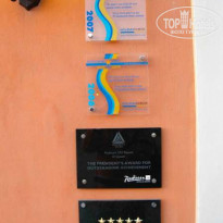 фото из отзыва ID 73611