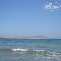 фото из отзыва ID 736126