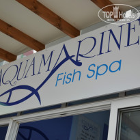 фото из отзыва ID 736126