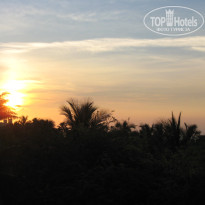 фото из отзыва ID 736195