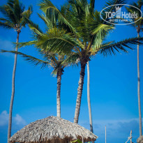 фото из отзыва ID 736234