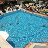 фото из отзыва ID 736485