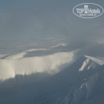 фото из отзыва ID 736754