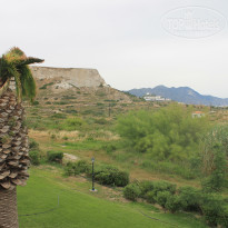 фото из отзыва ID 736707