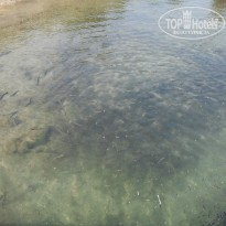 фото из отзыва ID 736829