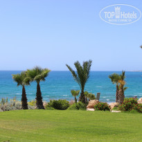 фото из отзыва ID 736998