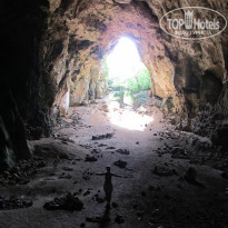 фото из отзыва ID 736669