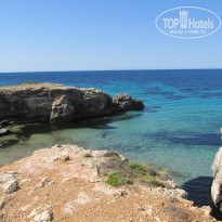 фото из отзыва ID 736669