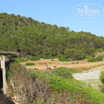 фото из отзыва ID 736669