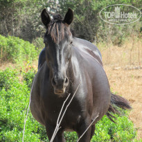 фото из отзыва ID 736669