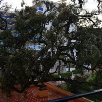 фото из отзыва ID 737379